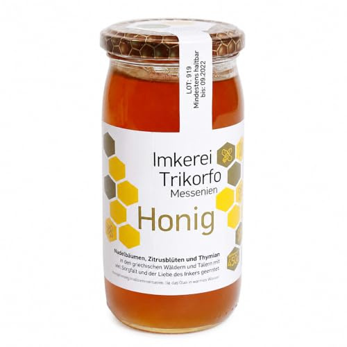 ARISTOS Griechischer Pinienhonig 450 g – Waldhonig aus Griechenland