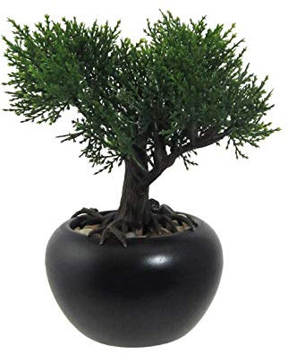 kunstpflanzen-discount.com Mini Bonsai Zeder ca. 19cm hoch im wertigen Keramiktopf mit Kieselsteinen - Kleiner Bonsaibaum Kunstbonsai naturgetreu