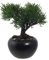 kunstpflanzen-discount.com Mini Bonsai Zeder ca. 19cm hoch im wertigen Keramiktopf mit Kieselsteinen - Kleiner Bonsaibaum Kunstbonsai naturgetreu
