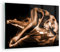 Bilder auf Glas Nackte Frau Akt Modell Photofitness Glasbild 70x50cm Wandbilder Dekoration Wohnzimmer Schlafzimmer Küche Deko Klein Wanddeko Bild im Glas Wand Kunstdruck Art Modern GAA70x50-0349
