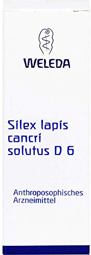 Silex Lapis Cancri Solutus D 6 Dilution