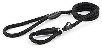 Ancol Heritage Nylon Rope Slip Lead Dog Puppy Pet Training Walking Accessory Black Nylon Hand Sewn Leather Ends Weather Proof Strong Durable Lightweight 120 cm x 12 mm Size 4-8