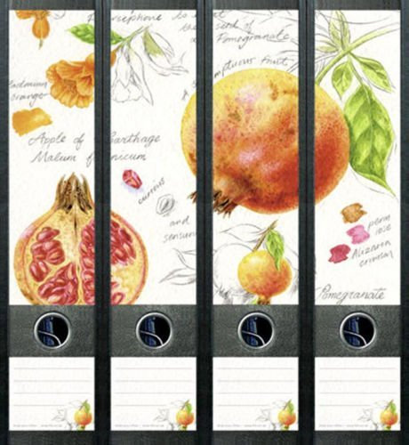 File Art AJ428 Design Etiketten Ordnerrückenschilder