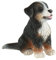 Bullyland 65437 - Spielfigur Berner Sennenhund Welpe Joy, ca. 4 cm große Tierfigur, detailgetreu, PVC-frei, ideal als kleines Geschenk für Kinder ab 3 Jahren