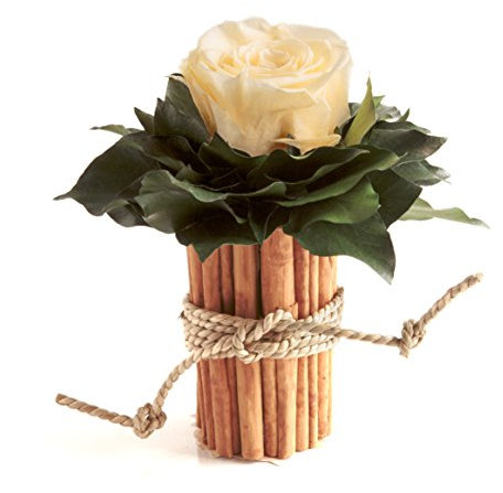 ROSEMARIE SCHULZ Heidelberg 1 Ewige Rose Champagner Vase Zimtstangen Rosenbox konserviert Landhaus Deko (Beige)