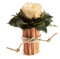 ROSEMARIE SCHULZ Heidelberg 1 Ewige Rose Champagner Vase Zimtstangen Rosenbox konserviert Landhaus Deko (Beige)