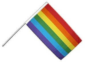 Flaggenfritze® Große Stockflagge Schwenkflagge Regenbogen 60 x 90 cm