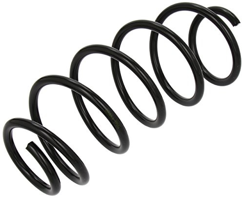 lesjofers 4066781 Coil Spring Front