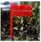 Bütic GmbH Plexiglas® Pflanzschilder Gartenstecker Fahne neonrot transparent fluoreszierend - wetterfest und elegant, Kräuterschilder, Pflanzenstecker, Pflanzenname:Fenchel