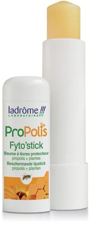 PHYTO'STICK LEVRES AUX PLANTES 4.8G
