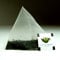 The Tea Makers of London Supreme Japanese Sencha Green Tea Triunes - 250 Tea Bags