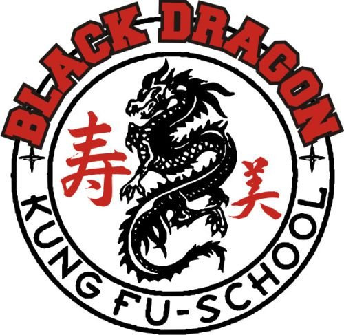 INDIGOS UG - Wandtattoo Wohnzimmer - Wandaufkleber Kinderzimmer bunt farbig MD225 Drachen Kung Fu 20 x 19 cm