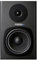 FOSTEX Aktivdiffusor PM0.5d (B) (1 Stück)