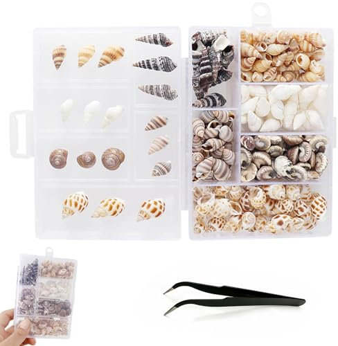 Piccole Conchiglie Marine Miste,Conchiglie Naturali,Naturale Marine Conchiglia, Conchiglie da Spiaggia Miste,Decorazioni per la Casa,Conchiglie per Artigianato,Per Feste in Spiaggia,Circa 100 Pcs