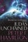 Judas Unchained (Commonwealth Saga Book 2) (English Edition)
