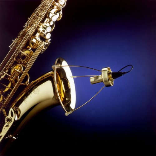 SD Systems LCM 89 Professional Saxophone Condenser Microphone System