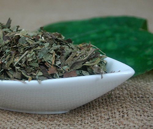 Naturix24 – Lungenkrauttee, Lungenkraut geschnitten – 500g-Beutel