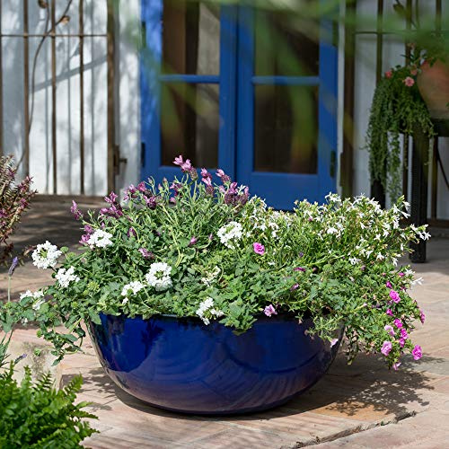 Primrose Garden Royal Blue Glaze Effect Bowl Planter 55cm (23.7in)