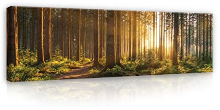 WallArena - Leinwand Bilder - Wald Grün Natur Landschaft - 145x45 cm Leinwandbilder - Bild auf leinwand - Wandbild XXL groß Wandbilder für Wohnzimmer Schlafzimmer Wohnzimmerbilder Modern