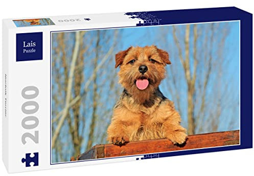 Lais Jigsaw Puzzle Norfolk terrier 2000 pieces
