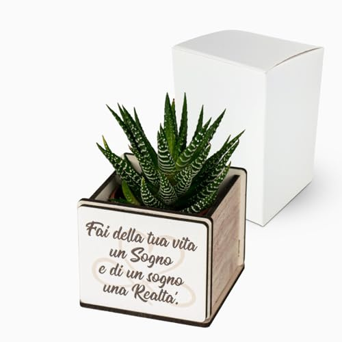 Albalù Bomboniere Comunione Cresima Matrimonio Vasetto in Legno 6x9 cm con Pianta Grassa Vera e Frase - Bomboniera Segnaposto Confettata Made in Italy
