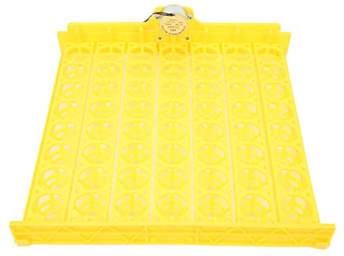 Inkubatoren Zum Ausbrüten von Wachteleiern, Wachteleihalter, 56 Eier, Automatischer Eierwender, Wachtelei-Inkubator, Wachtelei-Inkubator-Ausrüstung Zum Ausbrüten Kleiner Großer
