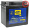 Magneti Marelli 8058045043560, Batteria MOTX5L Sigillata Precaricata Unisex Adulto, Multicolore, Taglia Unica