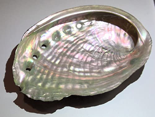 Coquille d'ormeau abalone purification 9 à 10cm pour purification à la Sauge Blanche, palo santo, encens, fumigation. Un Bijoux Surprise c est glissé dans certain paquet