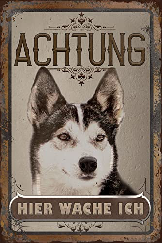 30 x 20 cm wetterfestes Blechschild, Warnhinweis, Torschild, Achtung, hier Wache ich! Warnung vor dem Hund (Husky 2)