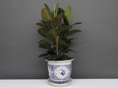 Yajutang China Porzellan Blumentopf Blau-Weiß mit Vier Blumen Ø 33cm