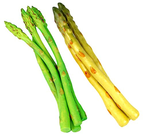 Cabilock 8 Piezas Modelo de simulación de espárragos Jugar Juguetes de Comida Accesorios para Fotos Wok Modelos Verduras espárragos Falsos realistas Adornos Vegetales Falsos realistas maíz