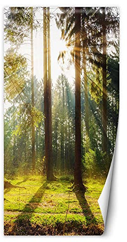 Feeby Fototapete Türtapete Sonnenstrahlen Zwischen Den Bäumen 100x200 cm Grün Vliestapete Moderne Design Küche Flur Wohnzimmer Büro Badezimmer Kinderzimmer Wald Lichtung Natur