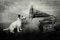 1art1 Hunde Poster His Master's Voice, Jack Russell Terrier Kunstdruck Bild 120x80 cm