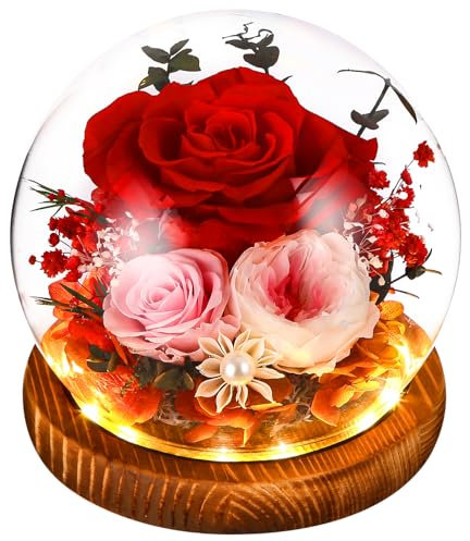 SOBEAU Ewige Rose im Glas mit Licht, Infinity Glasrose für Frauen, Konservierte Rosen Blume Licht LED für Frauen Mama Weihnachten Valentinstag Geburtstag Jahrestag Geschenke
