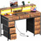 DLONGONE 120 x 50 cm Computer Desk with 8 Storage Drawers, Home Office Desk with LED Lights & USB Power Outlets, Gaming Table with Monitor Stand, Study Writing Work PC Table for Bedroom, Rustic Brown