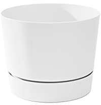 Root & Vessel Pot de Fleurs Blanc Mat 16,5 cm