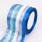 Fyshird Geschenkband Blau 10mm x 22m Satinband 6 Farben Schleifenband Polyester Bänder zum Basteln Dekoband für Luftballons Hochzeit Deko Geschenkverpackung Geburtstag DIY(Blaue Serie)
