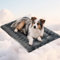 MORA PETS Large Dog Bed Crate Mat Warm Dog Cushion Soft Premium Plush Pet Bed Mattress with Anti-Slip Bottom, 89x56cm, Dark Grey