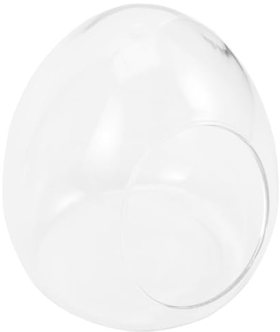 FONDOTIN Elegante Ökologische Glasflasche im Ei Design Mikrolandschaftlicher DIY terrariumbehälter für Moos und Pflanzen Stabiles Glas für Stilvolle Raumdekoration und Luftreinigung