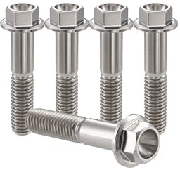 RISON-Titanium 5 Pezzi Bullone Flangiato in Titanio M6x1.0x25mm, Vite a Testa Esagonale con Flangia, Vite di Fissaggio Bulloneria a flangia Viti a Brugola per Bici, Moto, Auto