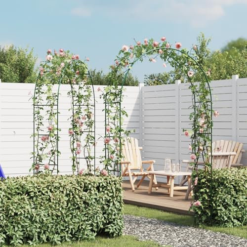 vidaXL Lot de 2 arches de jardin pour plantes grimpantes