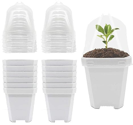 Macetas de plástico blanco de 15,5 cm con cúpula de humedad y bandeja, macetas cuadradas para verduras, flores, suculentas, paquete de 12