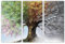 AREDE 3er Set Wandkunst Gemälde Bild Poster Baum mit Jahreszeiten | 90 x 60 cm | Wandbilder Wanddekoration Home Office Wohnzimmer Schlafzimmer Dekoration | Fertig zum Aufhängen