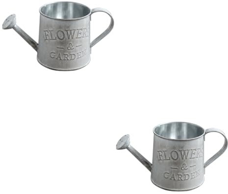 Amosfun 2pcs Rustic Style Iron Metal Jug Watering Can Home Decor for Indoor Plant Wedding