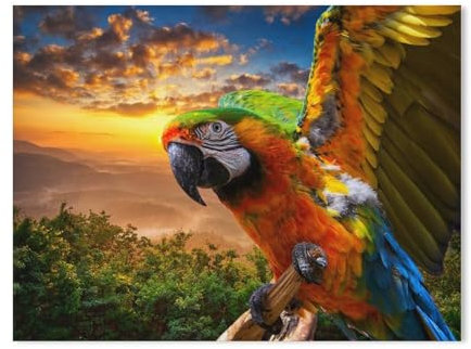 BEAYODKP Malen Nach Zahlen Kits,Prächtige Farben der Natur，Ara im Sonnenuntergang,Malen Nach Zahlen Für Erwachsene Und Kinder DIY Ölgemälde Geschenk-Kits（30x40cm） 11.8x15.7 Zoll-549