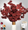 Angebot Black Week Birkental Eukalyptus - extra langlebige und 65-70 cm Lange Trockenblumen Deko - getrocknetes Eukalyptus - getrocknete Blumen , Vase Trockenblumenstrauß , Boho Deko (Rot)