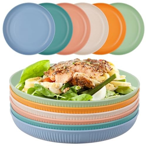 Worephu Unbreakable Dinner Plates, 6 Colors Reusable Lightweight Plates, Pizza/Pasta/Snack/Salad Plastic Dinner Sets for Home, Office, Picnic, Park
