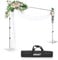 EMART Foto Hintergrund Ständer mit Stahlsockel, 2,6m x 3m Verstellbarer Hintergrundsystem, Hintergrundständer Fotostudios für Fotografie Video Studio Porträt Partydekoration-Silber
