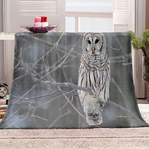 Warme Kuscheldecke Flanell Decke Microfaser Fleecedecke 150X180Cm 3D Graue Eule Drucken Sofadecke Weiche Flauschige Wolldecken Tagesdecke Wohndecke Für Erwachsene & Kinder