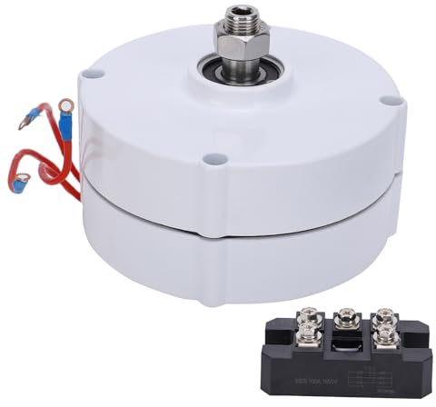 Generador de magnet permanente XTEVU, alternador de CA de 3 fase, 200W Fuente de energía eléctrica, Equipo industrial para uso comercial, AVAN - 200W (Con rectificador 12V)